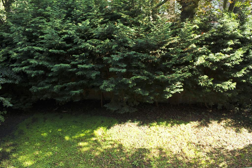 Langorf Hotel Londyn Zewnętrze zdjęcie